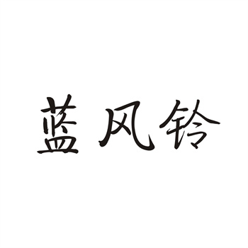 TikTok美区小店：购买现成商标的大优势