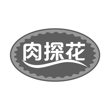 海关备案：跨境商标交易后的必要操作