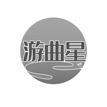 中东土豪最爱买的商标类型：金色LOGO溢价%？