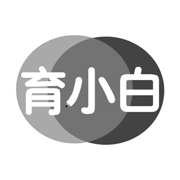 品牌重塑：2026年通过商标转让实现形象焕新