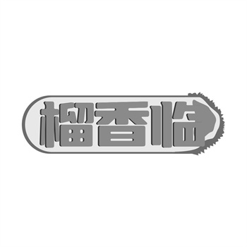 医疗器械2026年商标注册的替代方案：购买现成标