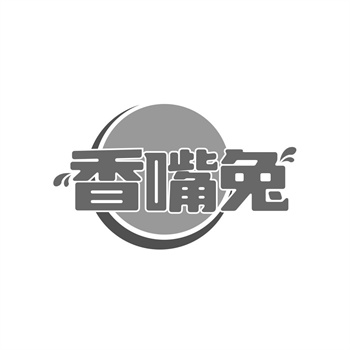 社交媒体与MCN机构2026年商标保护策略